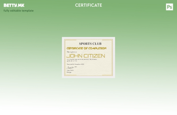 Модерен стил УСД Сертификат за препознавање Шаблон верзија